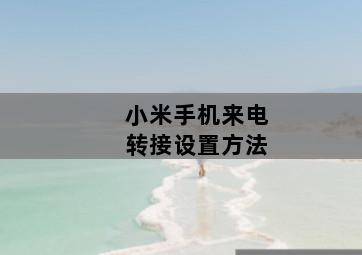 小米手机来电转接设置方法 小米手机来电转接设置方法-图片2